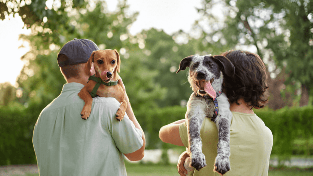 The Ultimate Guide to Pet Adoption (1)